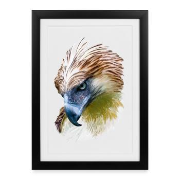 Aigle - Affiche encadrée (27 × 37 cm) - noir - Devant