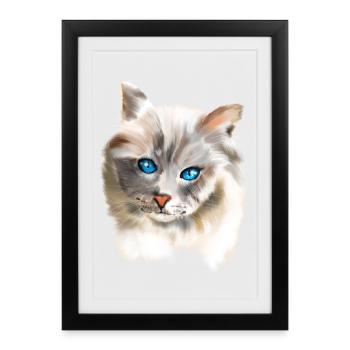 Chat aux yeux bleus - Affiche encadrée (27 × 37 cm) - noir - Devant