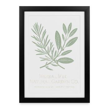 Mélange d’herbes – romarin et sauge - Affiche encadrée (27 × 37 cm) - noir - Devant