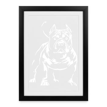 American Bully « Édition Noire » - Affiche encadrée (27 × 37 cm) - noir - Devant