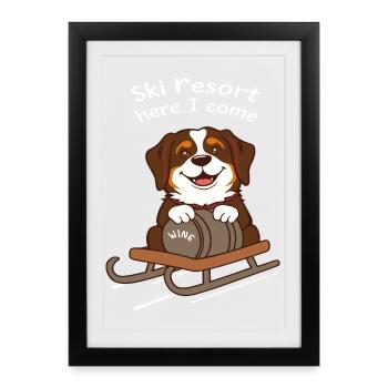 Chien Saint-Bernard - Affiche encadrée (27 × 37 cm) - noir - Devant