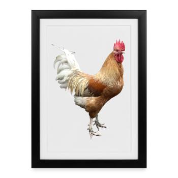 Rooster - Framed poster (27 × 37 cm) - black - Front