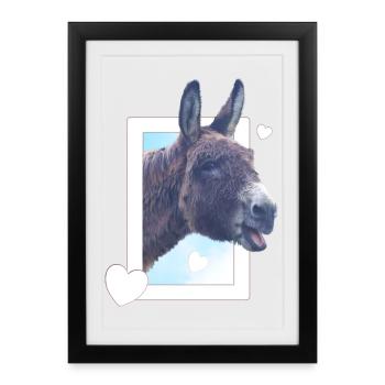 Un joli âne jette un coup d’œil par la fenêtre, cœur - Affiche encadrée (27 × 37 cm) - noir - Devant