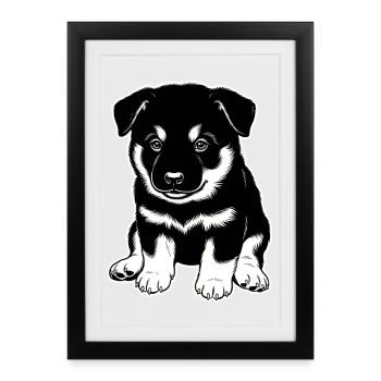 Eurasier | Chiot noir | Chiot - Affiche encadrée (27 × 37 cm) - noir - Devant