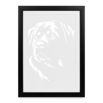 Rottweiler Head « Édition Noire » - Affiche encadrée (27 × 37 cm) - noir - Devant