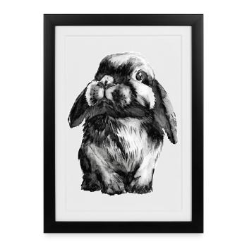 Lapin Lapin - Affiche encadrée (27 × 37 cm) - noir - Devant