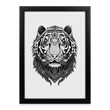 Tigre Blanc - Affiche encadrée (27 × 37 cm) - noir - Devant