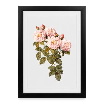 Fard à joues Rose Vintage Botanique - Affiche encadrée (27 × 37 cm) - noir - Devant