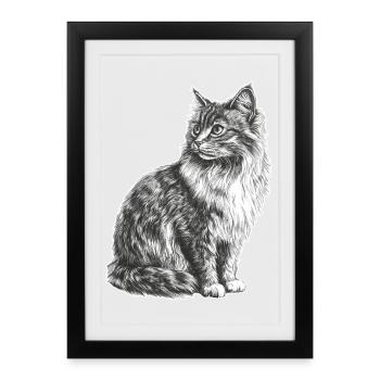 Cat - Framed poster (27 × 37 cm) - black - Front