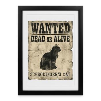Le jeu de mots de Schrödinger’s Cat Wanted Dead Or Alive Or Alive : Physics - Affiche encadrée (27 × 37 cm) - noir - Devant