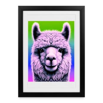 Alpaga - Affiche encadrée (27 × 37 cm) - noir - Devant