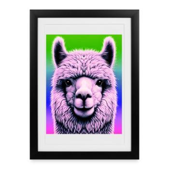 Alpaga - Affiche encadrée (27 × 37 cm) - noir - Devant