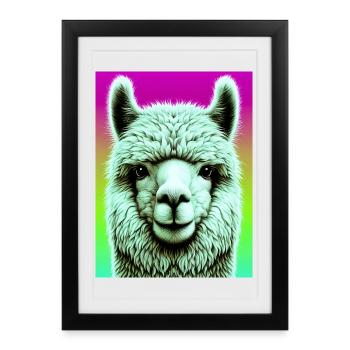 Alpaga - Affiche encadrée (27 × 37 cm) - noir - Devant