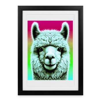 Alpaga - Affiche encadrée (27 × 37 cm) - noir - Devant