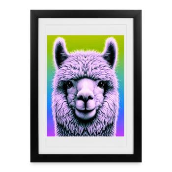 Alpaga - Affiche encadrée (27 × 37 cm) - noir - Devant