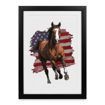 Drapeau des États-Unis de cheval - Affiche encadrée (27 × 37 cm) - noir - Devant