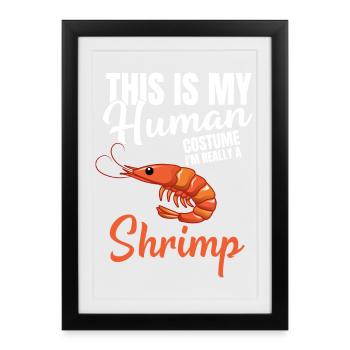 Crevette crevette scampi Krebs Gamba Halloween Costume - Affiche encadrée (27 × 37 cm) - noir - Devant