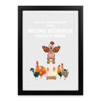 Meine Hühner lieben mich - Hahn Huhn Hühnerstall - Gerahmtes Poster (27 × 37 cm) - Schwarz - Vorne