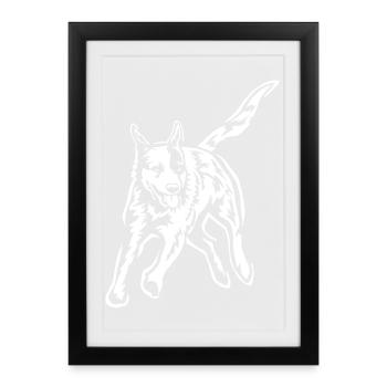 Australian Cattle Dog "Black Edition" - Framed poster (27 × 37 cm) - black - Front