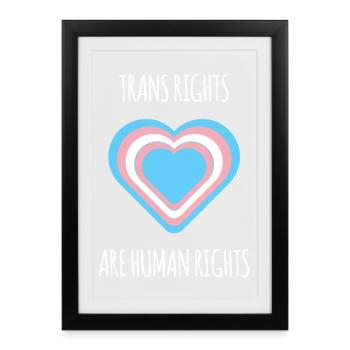 Mois de la fierté - Trans Rights Art Human Rights - Affiche encadrée (27 × 37 cm) - noir - Devant