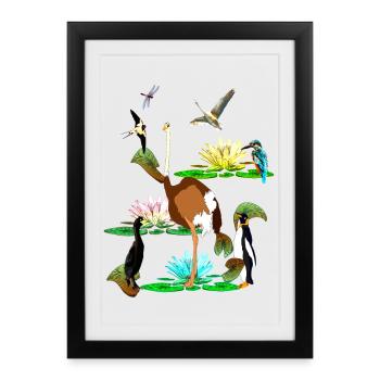 the colourful world of birds, water lilies, dragonflies - Framed poster (27 × 37 cm) - black - Front