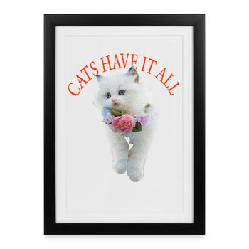 Sassy Cat - Framed poster (27 × 37 cm) - black - Front