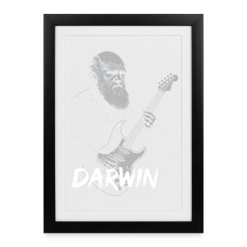 Darwin jouant de la guitare Evolution - Affiche encadrée (27 × 37 cm) - noir - Devant