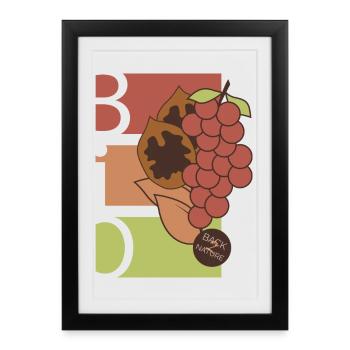 Fruits biologiques Icône de fruits Alimentation saine Icône d’alimentation - Affiche encadrée (27 × 37 cm) - noir - Devant
