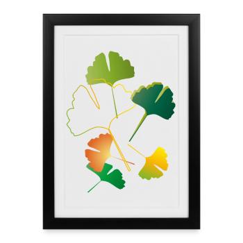 feuilles de ginkgo automnales parfois seulement des contours - Affiche encadrée (27 × 37 cm) - noir - Devant