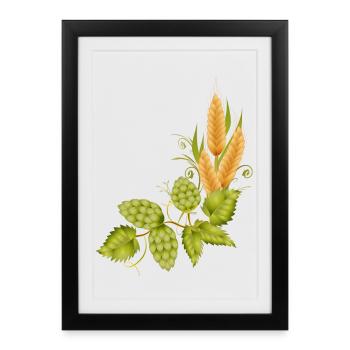 Le houblon et le malt base pour la bière - Affiche encadrée (27 × 37 cm) - noir - Devant