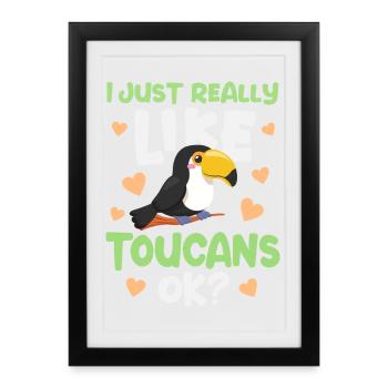 Toucan Bird Toucan - Framed poster (27 × 37 cm) - black - Front
