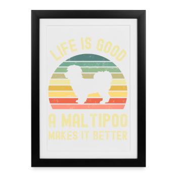 Chien Maltipoo - Affiche encadrée (27 × 37 cm) - noir - Devant
