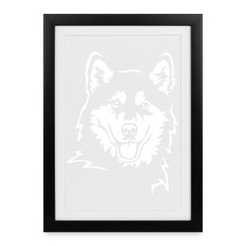 Alaskan Malamute Head "Black Edition" - Framed poster (27 × 37 cm) - black - Front