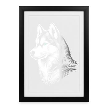 Husky head, black white, dog sled - Framed poster (27 × 37 cm) - black - Front