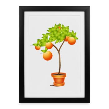 Petit oranger en pot de fleurs - Affiche encadrée (27 × 37 cm) - noir - Devant