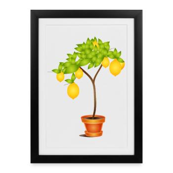 Motif de citronnier méditerranéen en pot - Affiche encadrée (27 × 37 cm) - noir - Devant
