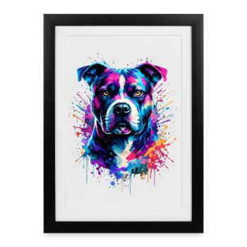 Terrier américain Staffordshire - Affiche encadrée (27 × 37 cm) - noir - Devant