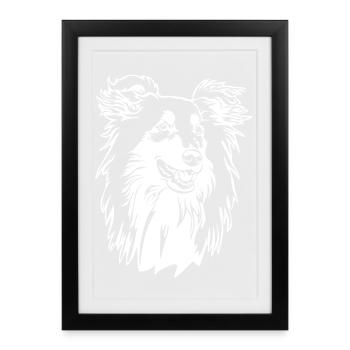 Collie Kopf « Black Edition » - Affiche encadrée (27 × 37 cm) - noir - Devant