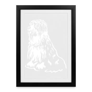 Bobtail « Black Edition » - Affiche encadrée (27 × 37 cm) - noir - Devant