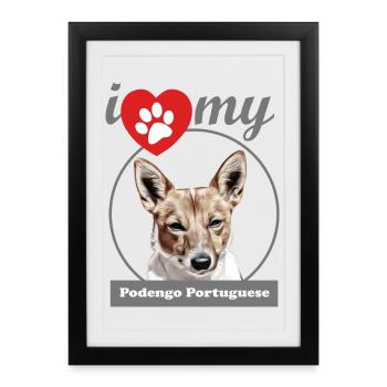 I Love My Podengo Português liso - Framed poster (27 × 37 cm) - black - Front