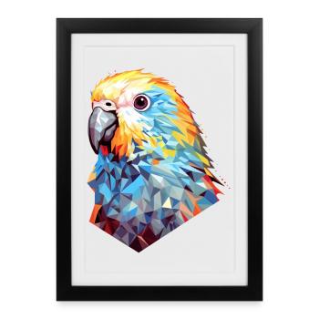 Perruche Polygone Bird Perruches - Affiche encadrée (27 × 37 cm) - noir - Devant