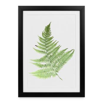 Fern Leaves Fern Leaves Green - Framed poster (27 × 37 cm) - black - Front