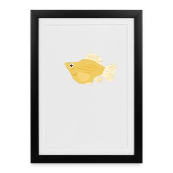 Molly tropicale - Affiche encadrée (27 × 37 cm) - noir - Devant