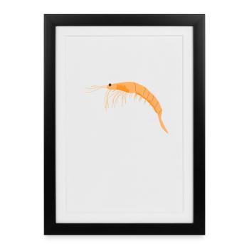 Fundamental Oceanic Krill - Framed poster (27 × 37 cm) - black - Front