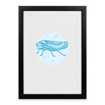 Cigale sauteuse vivante - Affiche encadrée (27 × 37 cm) - noir - Devant