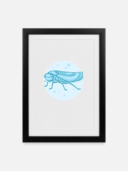 Living Jumping Cicada - Framed poster (27 × 37 cm) - black