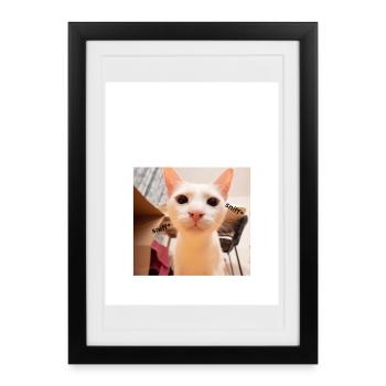 Portrait de chat ludique avec détail de reniflement - Affiche encadrée (27 × 37 cm) - noir - Devant