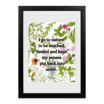 Je vais dans la nature pour remettre mes sens en ordre. - Affiche encadrée (27 × 37 cm) - noir - Devant