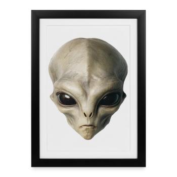 Alien Head - Framed poster (27 × 37 cm) - black - Front