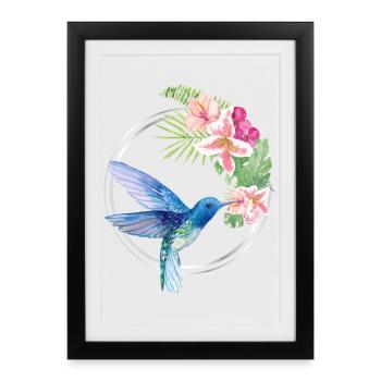 Azure Hummingbird Floral Circle - Gerahmtes Poster (27 × 37 cm) - Schwarz - Vorne